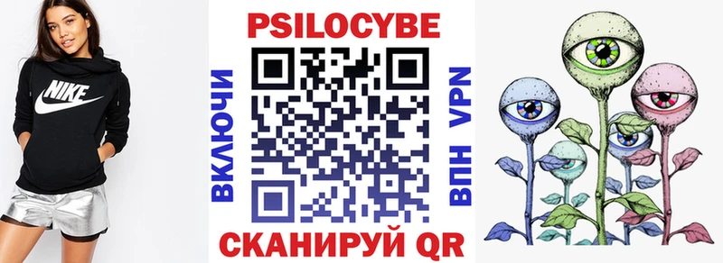 блэк спрут как зайти  Реутов  Псилоцибиновые грибы Psilocybine cubensis 