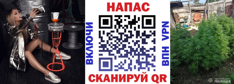 Канабис VHQ  Реутов 